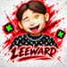 leewardtop