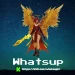 whatsuptr