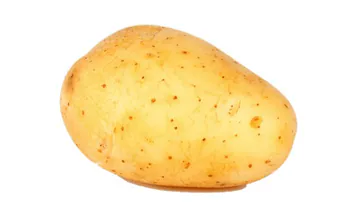 papacausa
