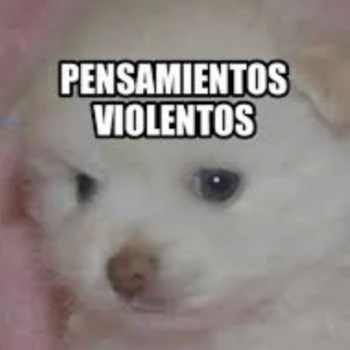 Cazuelin