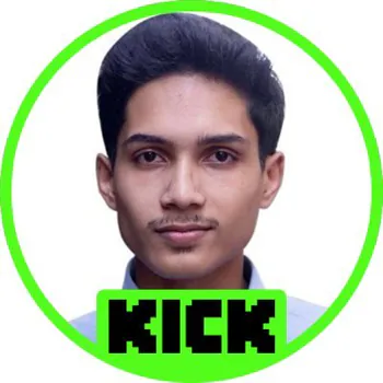 Streamer PFP