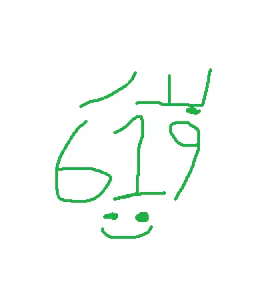 Badr619