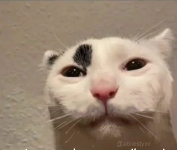 Santsa_11
