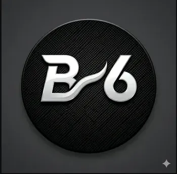 BR6M_12