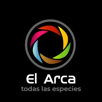 Elarcanqn