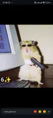 eyuupkooc