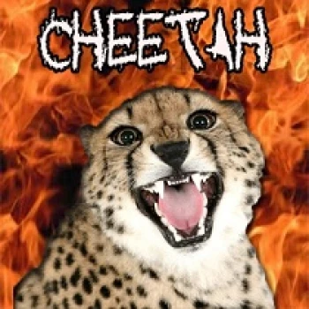 CHEETAH_LiveZ