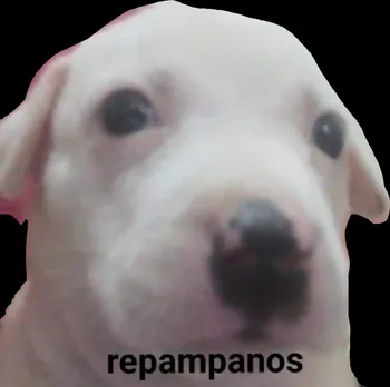 Leiraa_36