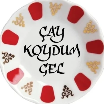 CayKoydumGel