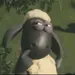 krynieq