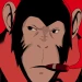 TFMonkey