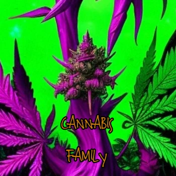 SoulSilver_CannabisKing