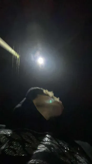 dvbinn