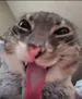 nubRL