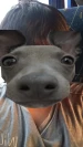 smokedoppe