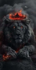 wael_gmng