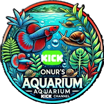AquaKick - Kick Charts