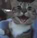 KIyoponLZ