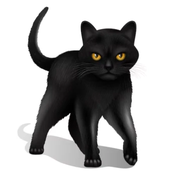 Kick Profile Pic