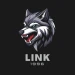 Link1996