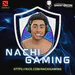 NachiGaming