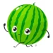 RunningMelon