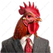 Theboychicken