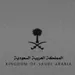 Abo3ziz_506