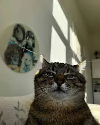 Paaju0