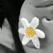 AminoacidoEsencial