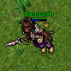 Bampuch