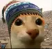 ElZynox