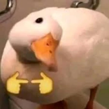 pato_s