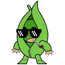 Frijolit0o00