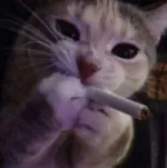 MaxikMore