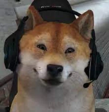 doggiestreamerfi