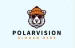 PolarVision