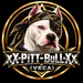 pittxbull statistics