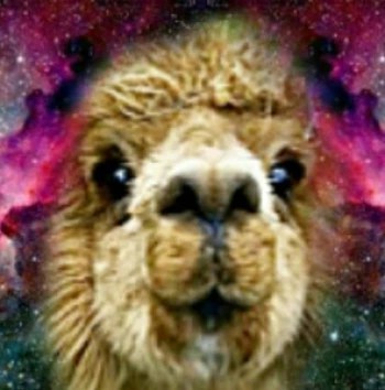 AlpacaGODty