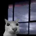 p0gsabrizz