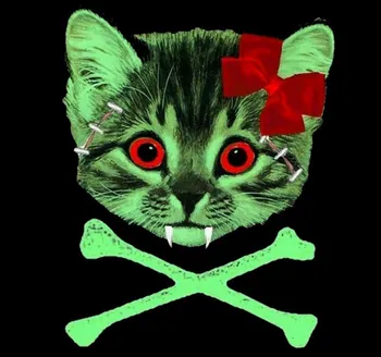 efimera_Cat