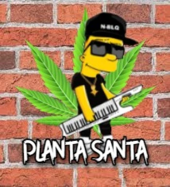 PLANTASANTAOFICIAL
