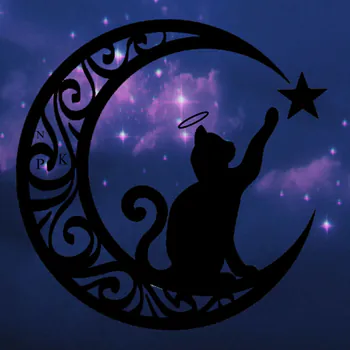 MoonRins