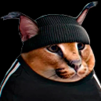 Kick Profile Pic