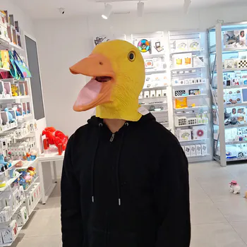 Bradelyavila