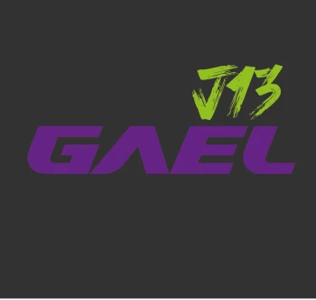 GaelJ13