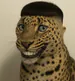 oabek