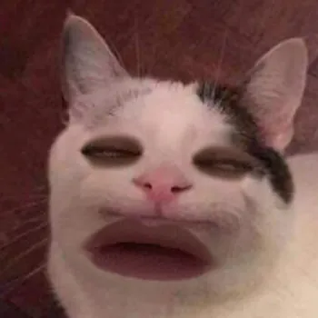 Gysuss