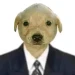 The_Perris