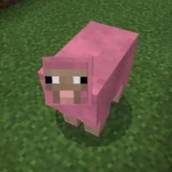 Pembekoyunxd